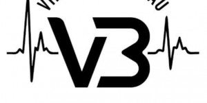 vb